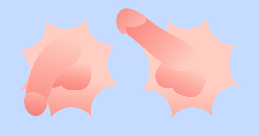 22 Diverse Types of Penis Out There