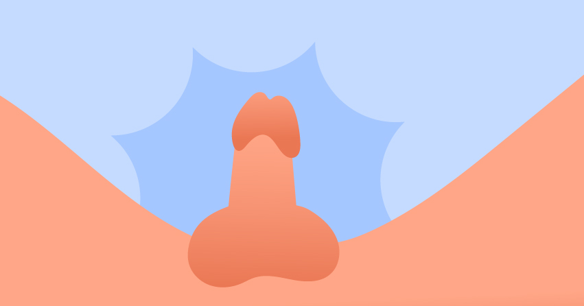 22 Diverse Types of Penis Out There