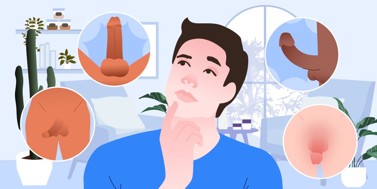 22 Diverse Types of Penis Out There
